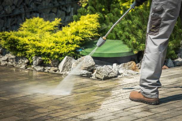 Trusted Fruitland, MD Pressure Washing Services Experts